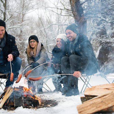 Forest Chalet, 15 Min To Salzburg Olt Town, And Most Beautiful Lakes, Secluded Location, 1,000 Sqm Garden, Mountainview, Panorama Sauna, Bath Whirlpool, Bbq&Bikes&Sunbeds For Free, Up To 10 P Golling an der Salzach Luaran gambar