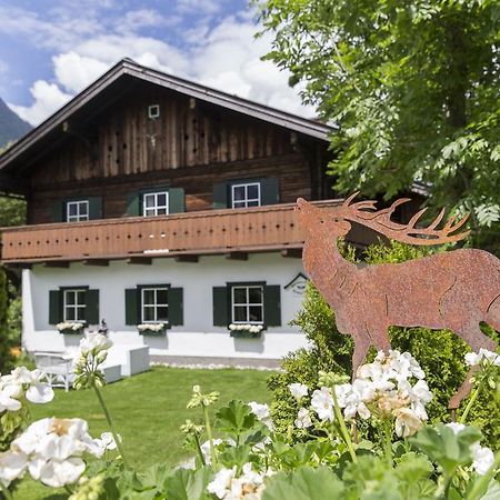 Forest Chalet, 15 Min To Salzburg Olt Town, And Most Beautiful Lakes, Secluded Location, 1,000 Sqm Garden, Mountainview, Panorama Sauna, Bath Whirlpool, Bbq&Bikes&Sunbeds For Free, Up To 10 P Golling an der Salzach Luaran gambar