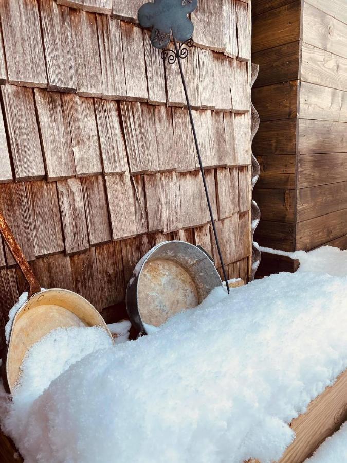 Forest Chalet, 15 Min To Salzburg Olt Town, And Most Beautiful Lakes, Secluded Location, 1,000 Sqm Garden, Mountainview, Panorama Sauna, Bath Whirlpool, Bbq&Bikes&Sunbeds For Free, Up To 10 P Golling an der Salzach Luaran gambar