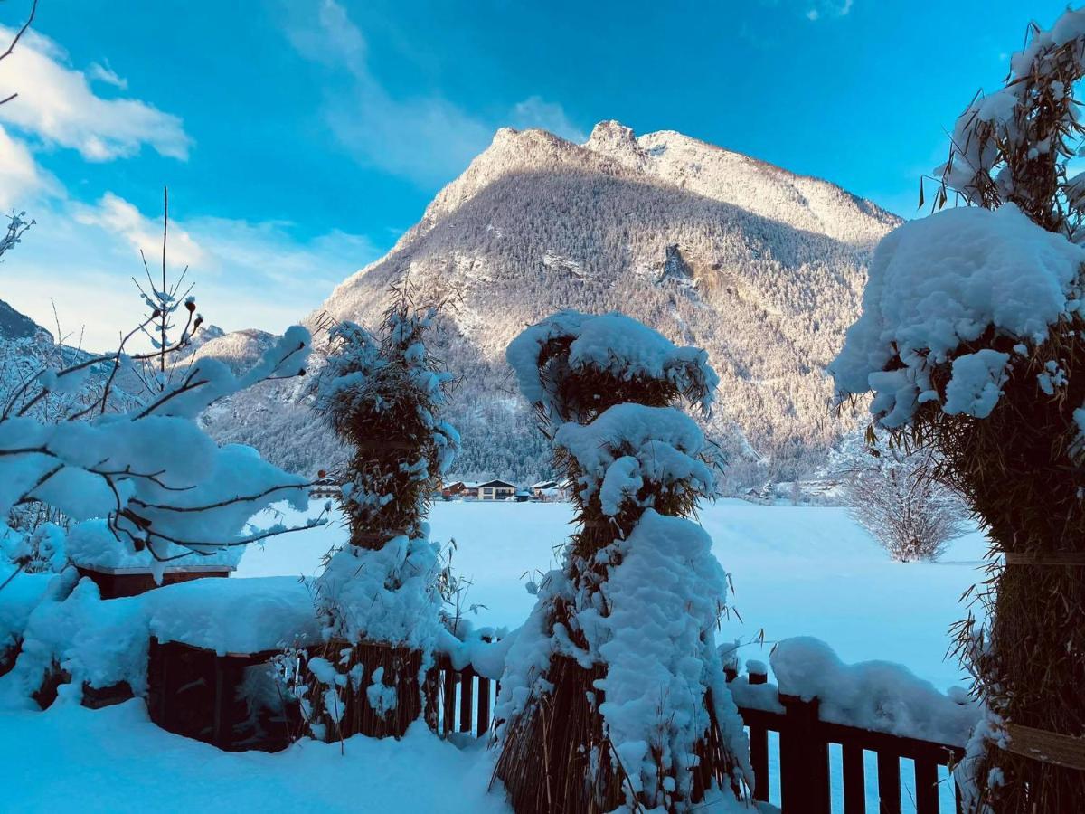 Forest Chalet, 15 Min To Salzburg Olt Town, And Most Beautiful Lakes, Secluded Location, 1,000 Sqm Garden, Mountainview, Panorama Sauna, Bath Whirlpool, Bbq&Bikes&Sunbeds For Free, Up To 10 P Golling an der Salzach Luaran gambar