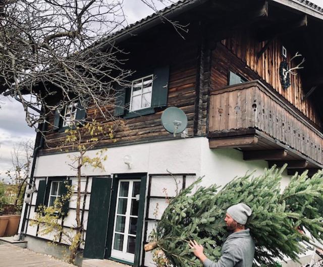 Forest Chalet, 15 Min To Salzburg Olt Town, And Most Beautiful Lakes, Secluded Location, 1,000 Sqm Garden, Mountainview, Panorama Sauna, Bath Whirlpool, Bbq&Bikes&Sunbeds For Free, Up To 10 P Golling an der Salzach Luaran gambar