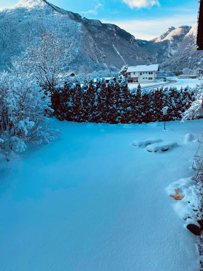 Forest Chalet, 15 Min To Salzburg Olt Town, And Most Beautiful Lakes, Secluded Location, 1,000 Sqm Garden, Mountainview, Panorama Sauna, Bath Whirlpool, Bbq&Bikes&Sunbeds For Free, Up To 10 P Golling an der Salzach Luaran gambar