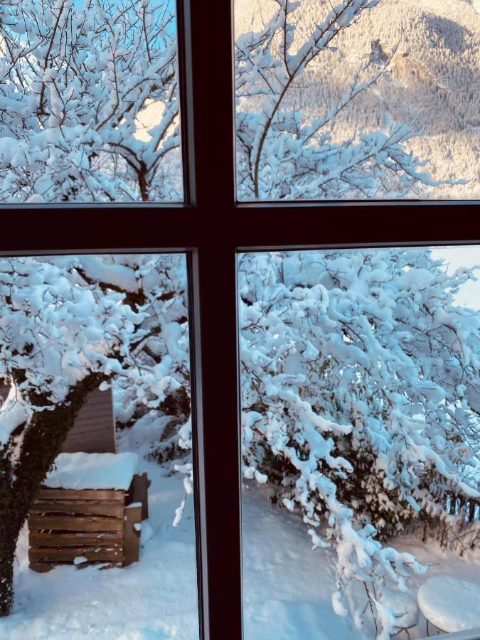 Forest Chalet, 15 Min To Salzburg Olt Town, And Most Beautiful Lakes, Secluded Location, 1,000 Sqm Garden, Mountainview, Panorama Sauna, Bath Whirlpool, Bbq&Bikes&Sunbeds For Free, Up To 10 P Golling an der Salzach Luaran gambar
