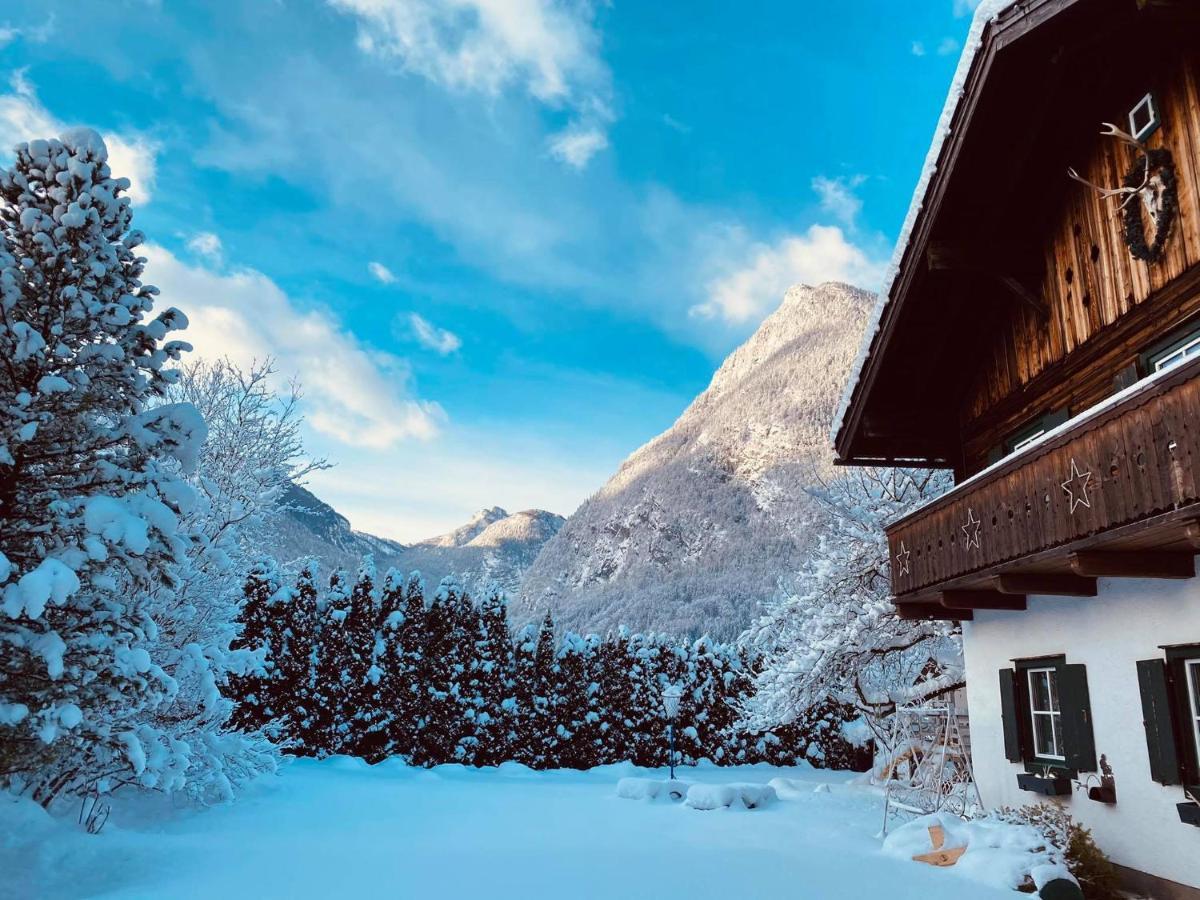 Forest Chalet, 15 Min To Salzburg Olt Town, And Most Beautiful Lakes, Secluded Location, 1,000 Sqm Garden, Mountainview, Panorama Sauna, Bath Whirlpool, Bbq&Bikes&Sunbeds For Free, Up To 10 P Golling an der Salzach Luaran gambar