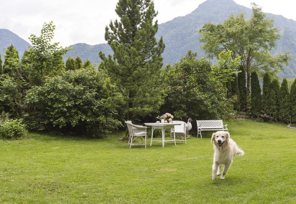 Forest Chalet, 15 Min To Salzburg Olt Town, And Most Beautiful Lakes, Secluded Location, 1,000 Sqm Garden, Mountainview, Panorama Sauna, Bath Whirlpool, Bbq&Bikes&Sunbeds For Free, Up To 10 P Golling an der Salzach Luaran gambar