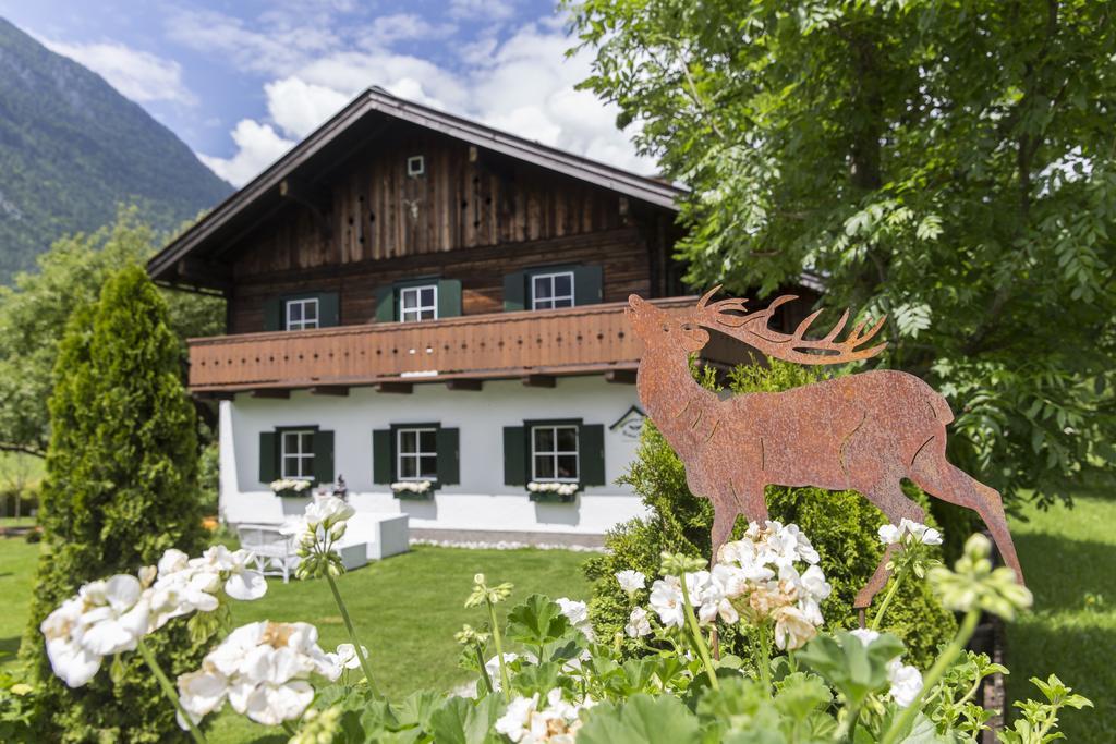 Forest Chalet, 15 Min To Salzburg Olt Town, And Most Beautiful Lakes, Secluded Location, 1,000 Sqm Garden, Mountainview, Panorama Sauna, Bath Whirlpool, Bbq&Bikes&Sunbeds For Free, Up To 10 P Golling an der Salzach Luaran gambar