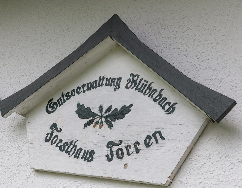 Forest Chalet, 15 Min To Salzburg Olt Town, And Most Beautiful Lakes, Secluded Location, 1,000 Sqm Garden, Mountainview, Panorama Sauna, Bath Whirlpool, Bbq&Bikes&Sunbeds For Free, Up To 10 P Golling an der Salzach Luaran gambar