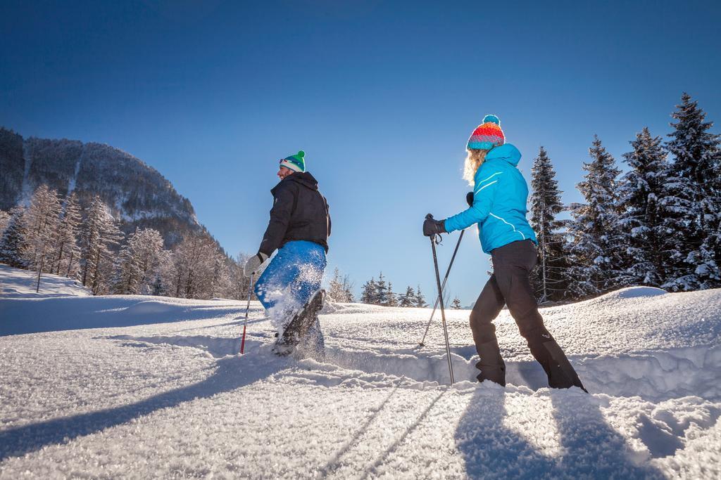 Forest Chalet, 15 Min To Salzburg Olt Town, And Most Beautiful Lakes, Secluded Location, 1,000 Sqm Garden, Mountainview, Panorama Sauna, Bath Whirlpool, Bbq&Bikes&Sunbeds For Free, Up To 10 P Golling an der Salzach Luaran gambar
