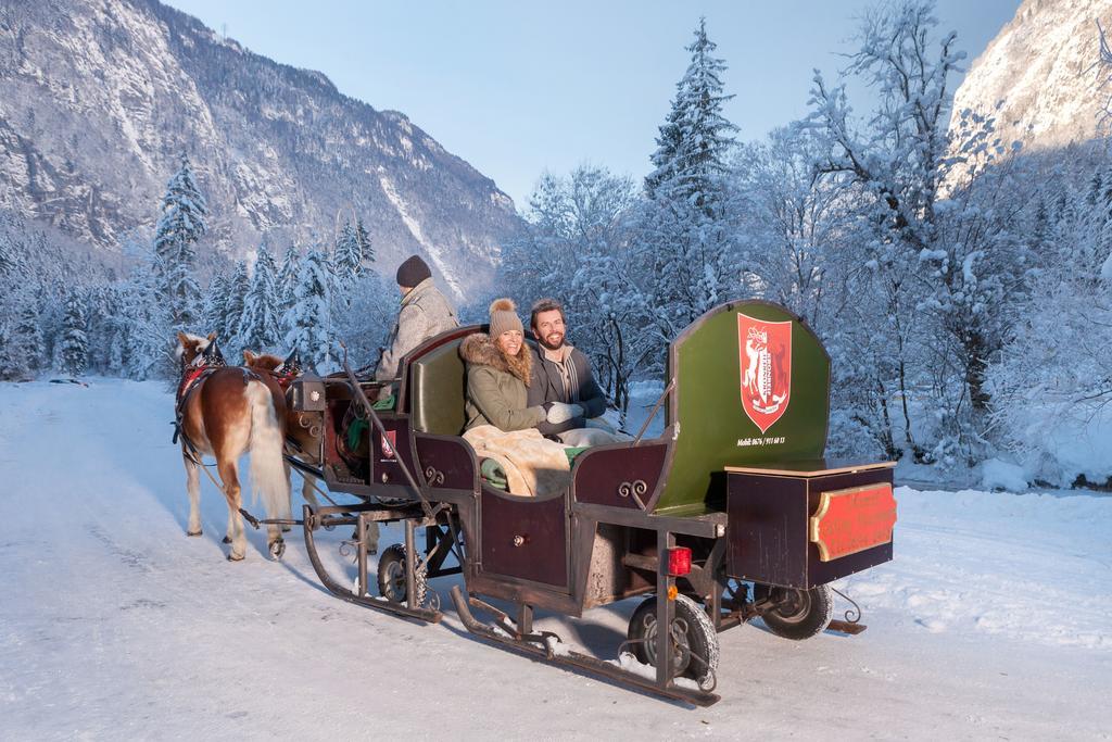 Forest Chalet, 15 Min To Salzburg Olt Town, And Most Beautiful Lakes, Secluded Location, 1,000 Sqm Garden, Mountainview, Panorama Sauna, Bath Whirlpool, Bbq&Bikes&Sunbeds For Free, Up To 10 P Golling an der Salzach Luaran gambar