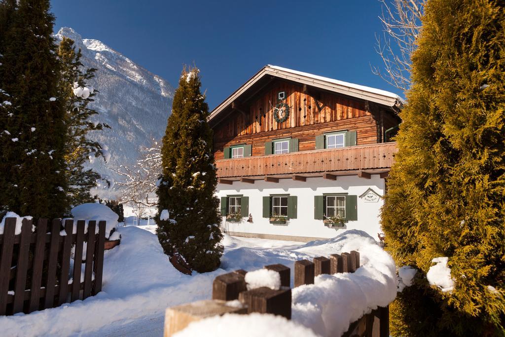 Forest Chalet, 15 Min To Salzburg Olt Town, And Most Beautiful Lakes, Secluded Location, 1,000 Sqm Garden, Mountainview, Panorama Sauna, Bath Whirlpool, Bbq&Bikes&Sunbeds For Free, Up To 10 P Golling an der Salzach Luaran gambar