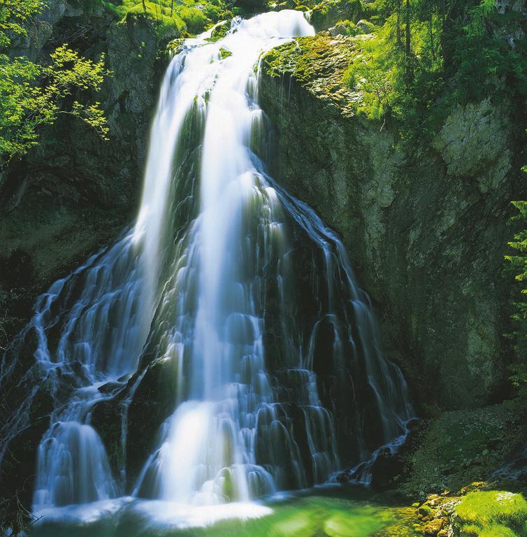 Forest Chalet, 15 Min To Salzburg Olt Town, And Most Beautiful Lakes, Secluded Location, 1,000 Sqm Garden, Mountainview, Panorama Sauna, Bath Whirlpool, Bbq&Bikes&Sunbeds For Free, Up To 10 P Golling an der Salzach Luaran gambar