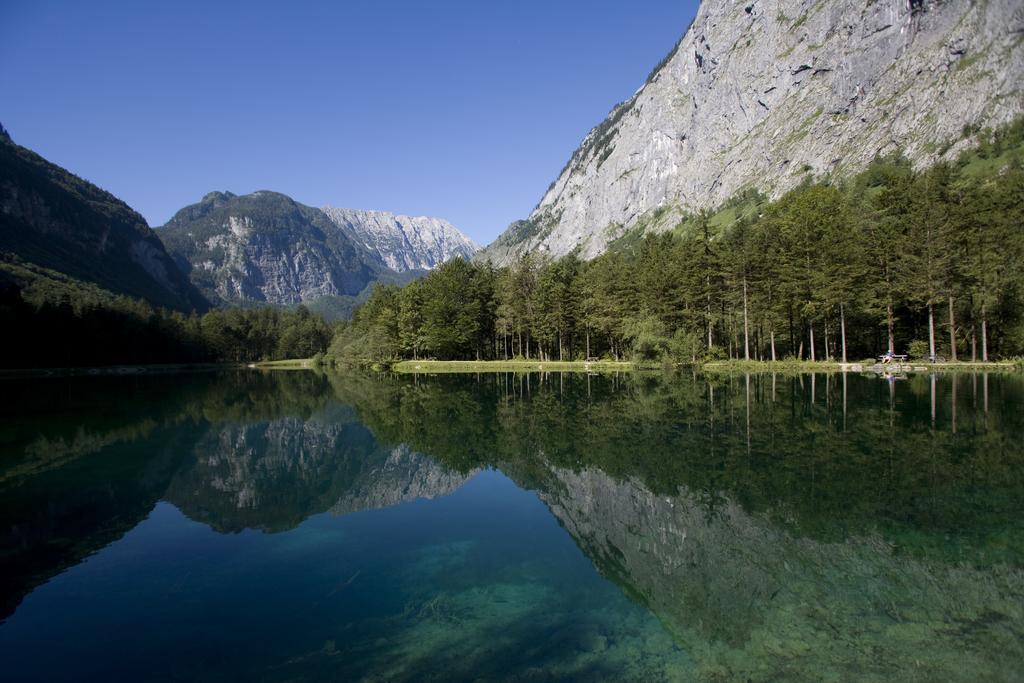 Forest Chalet, 15 Min To Salzburg Olt Town, And Most Beautiful Lakes, Secluded Location, 1,000 Sqm Garden, Mountainview, Panorama Sauna, Bath Whirlpool, Bbq&Bikes&Sunbeds For Free, Up To 10 P Golling an der Salzach Luaran gambar